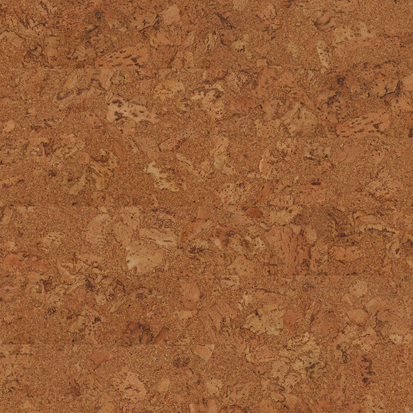 Amorim Cork Wise  Originals Shell
