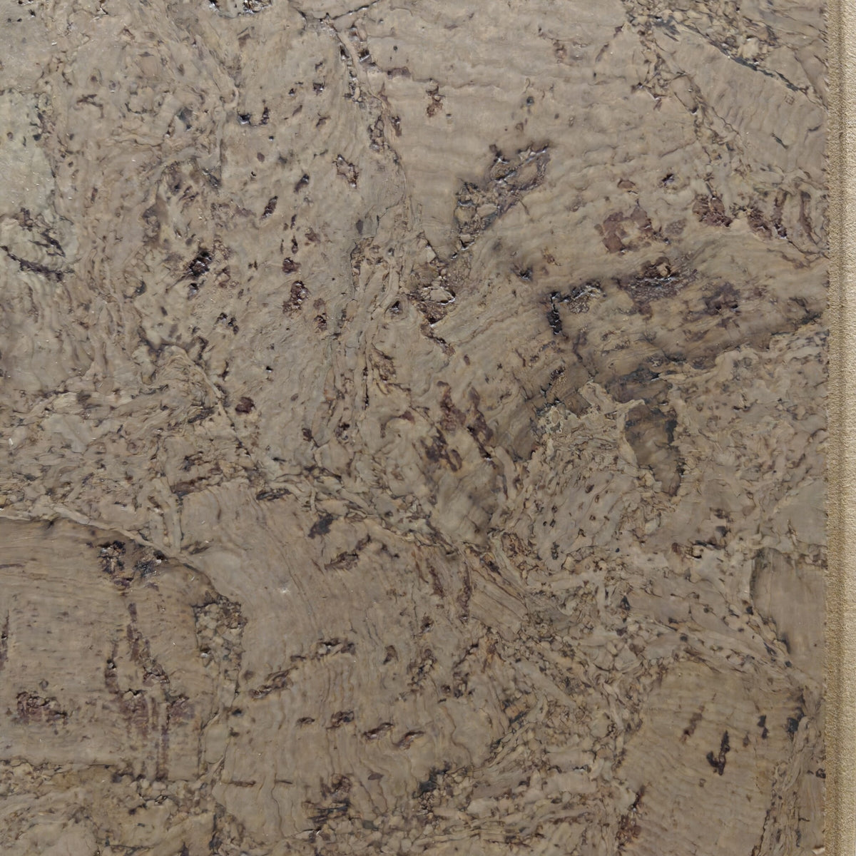 Amorim Amorim klik kurkvloer - SANDSTORM - Partij 19,5m2