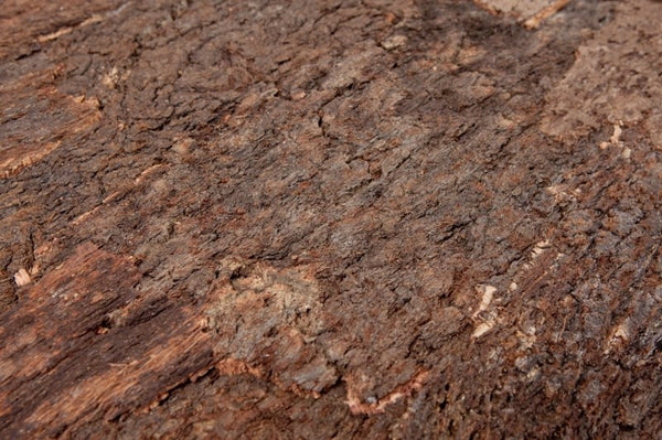 Achterwand terrarium - Kurkplaat Bark - 60x29,5cm