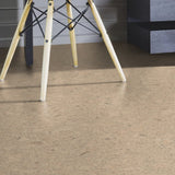 Kurk24 Amorim klik kurkvloer - PROSECCO CREME - Partij a 12,5m2