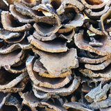 Kurk24 Kurkschors Plat - Per 10 KG