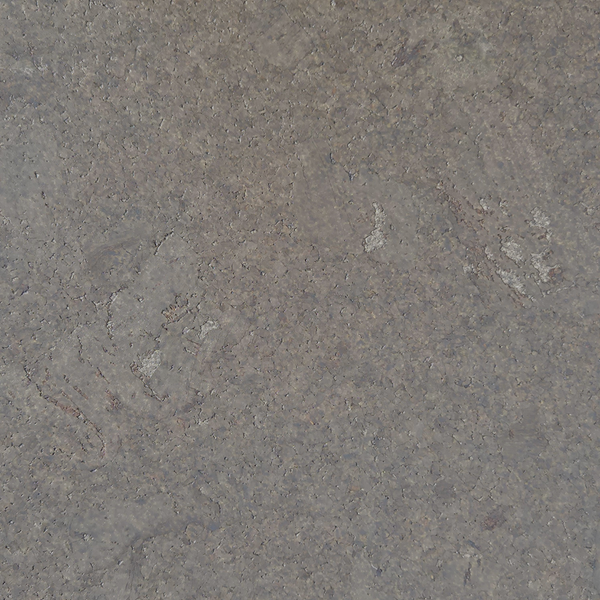 Plak kurkvloer - Shell Grafite - 60 x 30 cm - 4 mm dik - per m2
