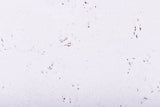 Kurk24 Prikwand kurkplaat - Snow - 60 x 30 cm - 5mm dik