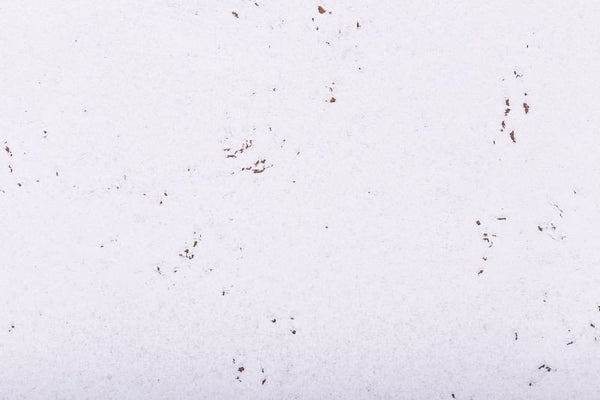 Prikwand kurkplaat - Snow - 60 x 30 cm - 5mm dik