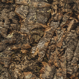 Kurk24 Wandkurk plaat - Cork Forest - 60 x 90 cm